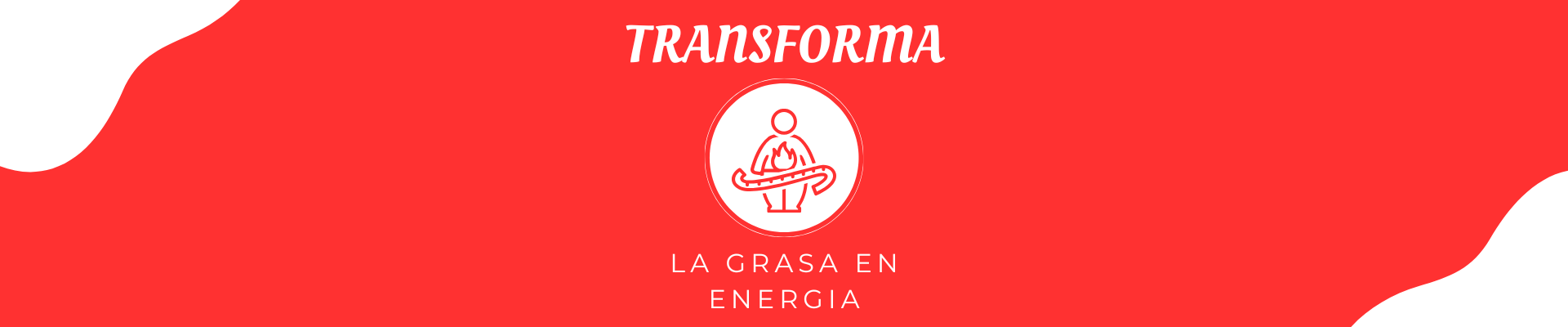 Transforma la grasa en energía